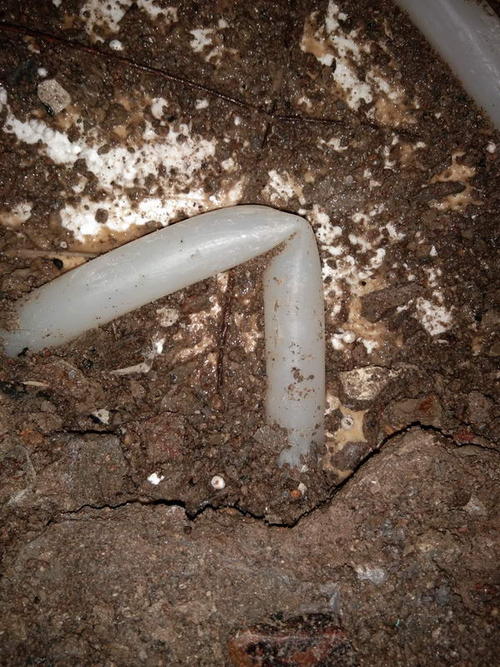 碌曲堵点精准查找